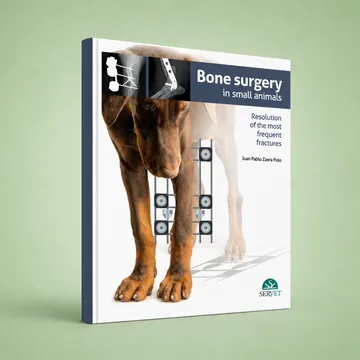 Cover of Bone Surgery in Small Animals