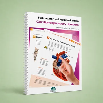 Cover of Cardiorespiratory System