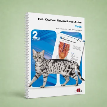Cover of Cats, 2nd edition