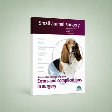 Cover of Errors and Complications in Surgery