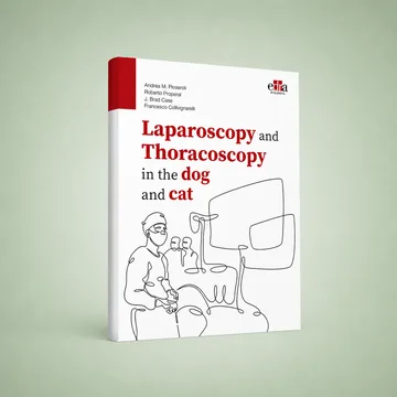 Cover of Laparoscopy and Thoracoscopy in the dog and cat