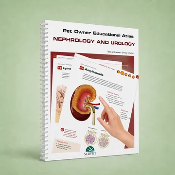 Cover of Nephrology and Urology