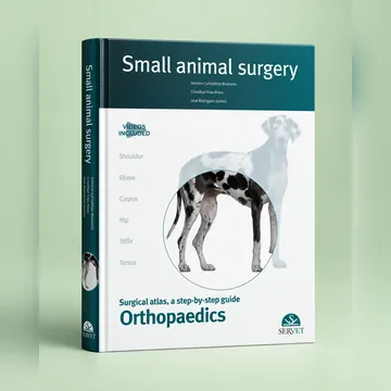 Cover of Orthopaedics