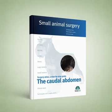 Cover of The Caudal Abdomen - eBook
