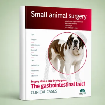 Cover of The Gastrointestinal Tract. Clinical Cases